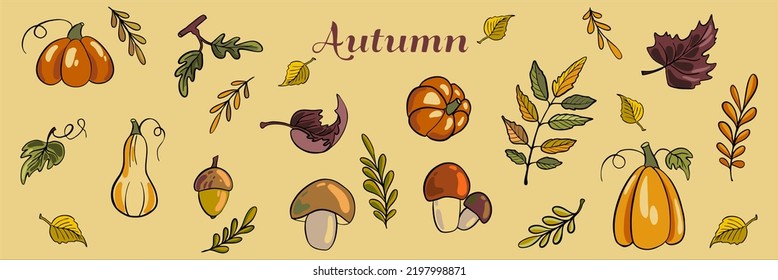 Clipart Autumn. Stylized clipart in cartoon style. Cute children's illustrations of leaves, acorns, pumpkins and forest mushrooms.