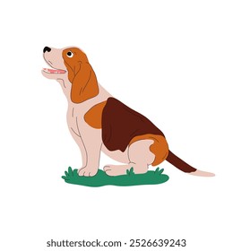 Clipart de basset hound. Imagem vetorial do cão de caça com perna curta. Cachorro de caça de raça pura. Raça doméstica ou canina. Cartão ou logotipo, símbolo com cachorro. Símbolo de zoologia e cinologia, cartaz