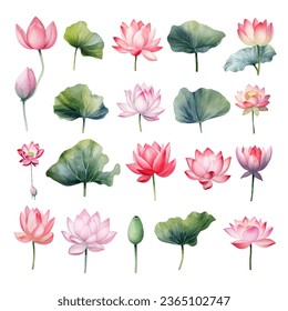 Colección de clipart de la acuarela de Lotus Flower