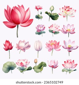 Clipart Collection of Lotus Flower Watercolor