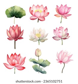 Clipart Collection of Lotus Flower Watercolor