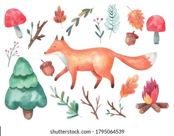 clipart, fox and forest, fly agaric mushrooms, branches, spruce, bonfire watercolor illustration on white background