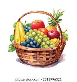 clipart fruit basket watercolor illustration