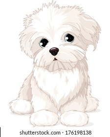 Clipart Maltese Puppy Dog