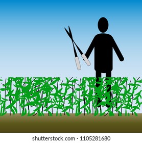 Clipart on the theme of working in the garden. Smooth line of shrub with green leaves in the foreground. In the background is a man with garden scissors. Against the light blue sky