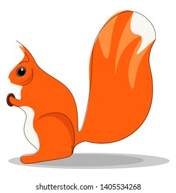 Clipart of an orange squirrel with a fluffy tail holds a nut and about to enjoy it while sitting, vector, color drawing or illustration. 