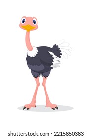 Clipart ostrich vector isolated on white background