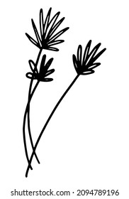 Clipart of outline wild plant. Hand drawn vector illustration. Black ink sketch of flora isolated on white. Botanical vintage element for design, card, print, decoration.