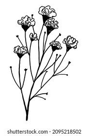 Clipart of outline wild plant. Hand drawn vector illustration. Black ink floral sketch isolated on white. Botanical vintage element for design, card, print, decoration.