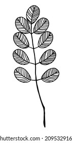 Clipart of outline wild plant. Hand drawn vector illustration. Black ink sketch of flora isolated on white. Botanical vintage element for design, card, print, decoration.