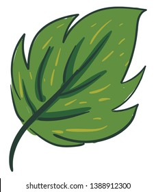 Clipart de una hoja verde ovada con un margen líneas pequeñas amarillas y dibujo o ilustración de color vectorial de venda alternativa