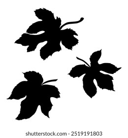 Clipart Silhouette of Leaves on a white background