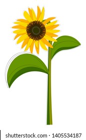 Clipart of a sunflower plant that bears one flower head with bright yellow ray coiled florets on a green-colored slender stalk that has two leaves, vector, color drawing or illustration. 