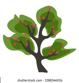 Clipart of a tall branched green Acacia tree with flowers that are small  pink and fragrant with many stamens  giving the flower a fuzzy appearance  vector  color drawing or illustration