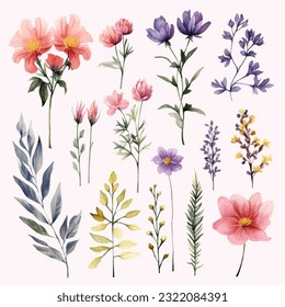 clipart top cute decorate floral flower bundle watercolor