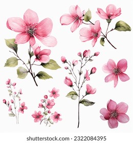 clipart top cute decorate floral flower bundle watercolor