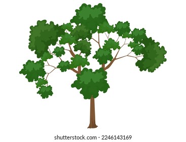 Clipart tree isolated on white background vector
