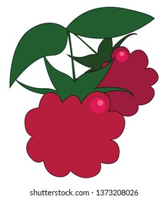 Clipart of two red fresh-looking raspberries with green leaves hang on a small branch and is ready to be plucked and enjoyed by someone vector color drawing or illustration 