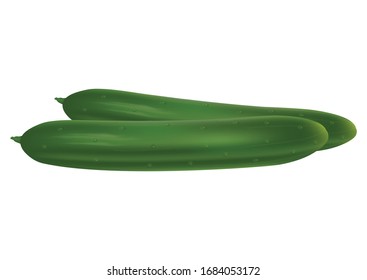 Clipart Vector Cucumber. Vector illustration of cucumber isolated on white background