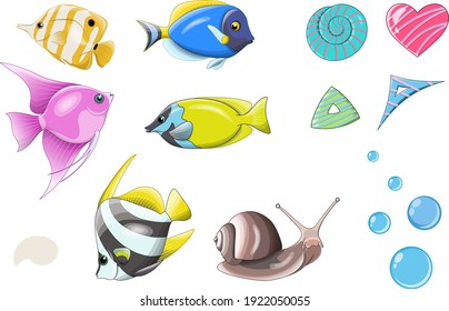 Clipart from vector fish and elements. Multicolored tropical fish, snail and bubbles