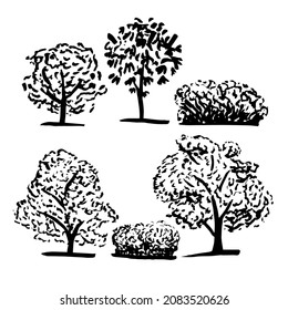 Clipart vector set of different coniferous and deciduous trees isolated on white background, elements are hand drawn with ink in sketchy style, outdoor woods and shrubs, black and white