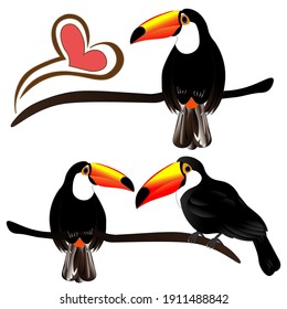  Clipart, vector. Toucan, tropical birds isolated on white background.