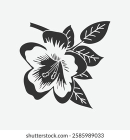 clitoria flower vector and image