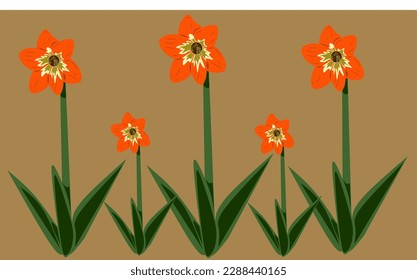 clivia flower vector illustration great for background design or other needs