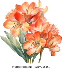 Clivia Watercolor illustration. Hand drawn underwater element design. Artistic vector marine design element. Illustration for greeting cards, printing and other design projects.