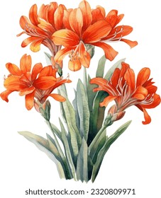 Clivia Watercolor illustration. Hand drawn underwater element design. Artistic vector marine design element. Illustration for greeting cards, printing and other design projects.