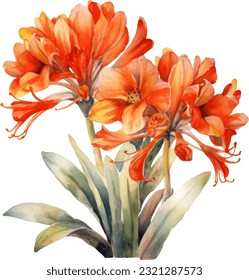 Clivia Watercolor illustration. Hand drawn underwater element design. Artistic vector marine design element. Illustration for greeting cards, printing and other design projects.