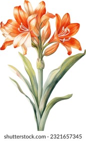 Clivia Watercolor illustration. Hand drawn underwater element design. Artistic vector marine design element. Illustration for greeting cards, printing and other design projects.