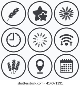 Clock, wifi and stars icons. Agricultural icons. Gluten free or No gluten signs. Wreath of Wheat corn symbol. Calendar symbol.