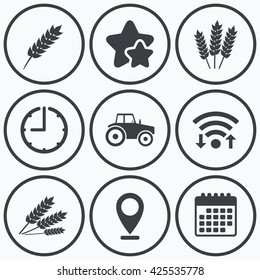 Clock, wifi and stars icons. Agricultural icons. Wheat corn or Gluten free signs symbols. Tractor machinery. Calendar symbol.