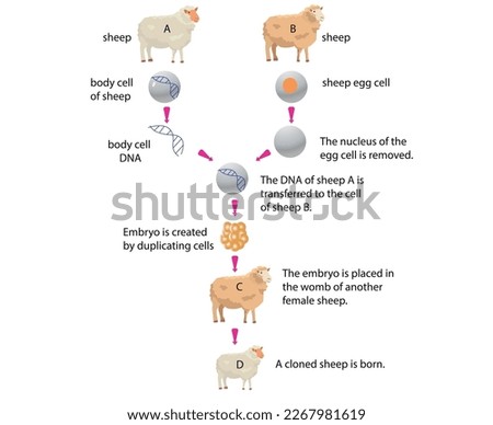 cloned sheep formation illustrator design