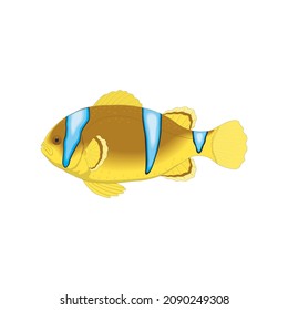 ilustración del vector de peces de clonación
