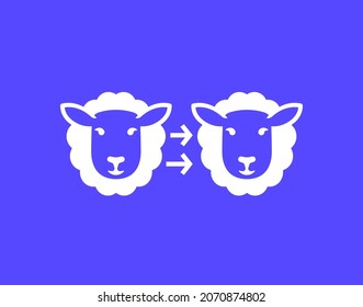 Cloning Icon With A Sheep, Vector