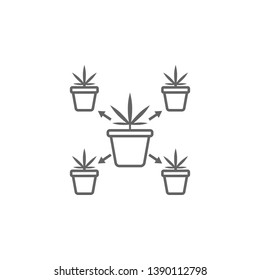 Cloning, marijuana icon. Element of marijuana icon. Thin line icon for website design and development, app development. Premium icon