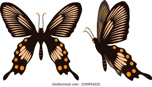 Clorful butterflies. Beautiful flying insects. Vector illustration.