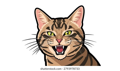 Close up of an angry cartoon cat