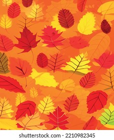 close up autumn leaves background