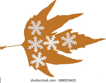 close up autumn leaves and snowflakes