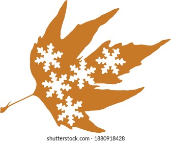 close up autumn leaves and snowflakes