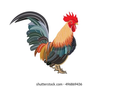 close up of bantam chicken vector isolated on white background.