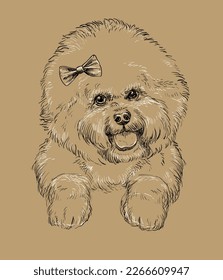 Close up Bichon Frise hand drawing monochrome vector isolated illustration on brown background. Cute realistic funny dog. For print, design, T-shirt, sublimation, decor, coloring, card