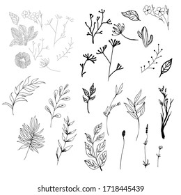 A close up big Set of contour cute flowers and twigs in doodle style without shading and black strokes. Coloring book antistress. Isolated on white background. Stock vector illustration. eps 10