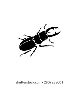 Close up of a black beetle