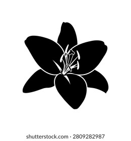 Close up of black flower silhouette