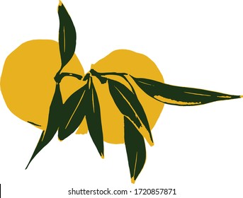 close up branch of tangerine