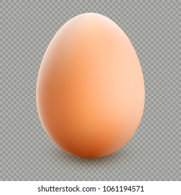 Close up of brown egg isolated on transparent background. EPS 10 vector file